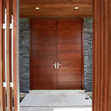Modern Doors