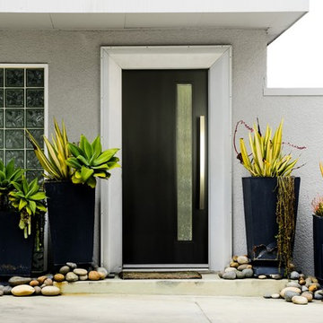 Modern Doors