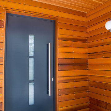 Modern Entry Door