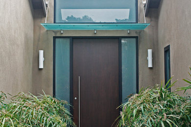 This is an example of a contemporary front door in San Diego with a single front door and a dark wood front door.