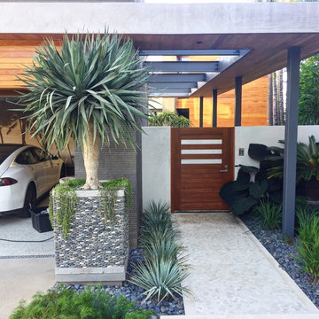 Modern Entry