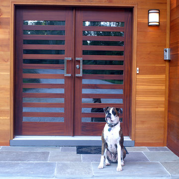 Modern Front Entry Doors