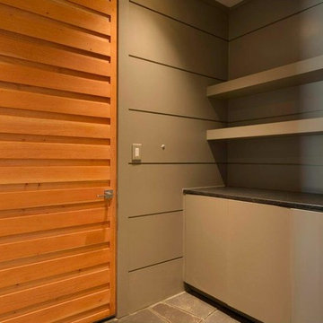 Modern Plank Door