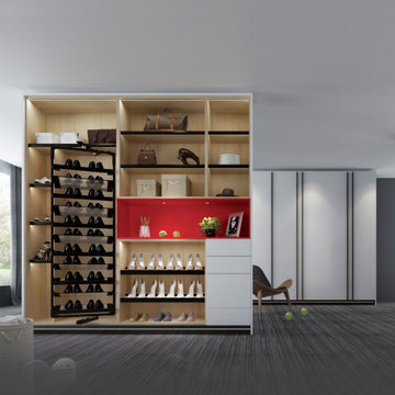 Modern Storage Shoe Cabinet