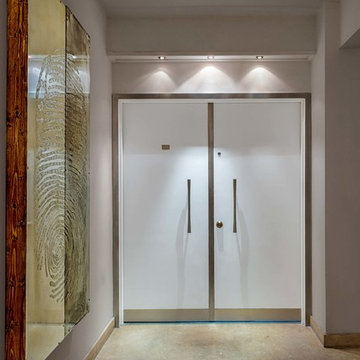 Modern white entry door