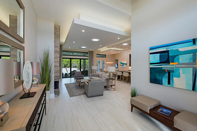 Mittelgroßes Modernes Foyer mit grauer Wandfarbe, Porzellan-Bodenfliesen und Einzeltür in Miami