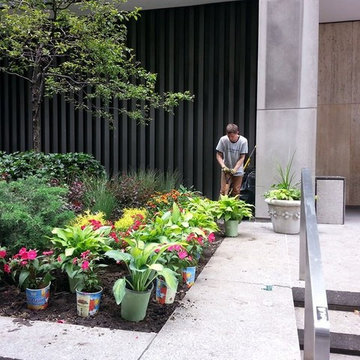 newyorkplantings: The Ultimate Garden Designer