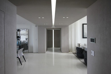 Photo of a large contemporary entrance in Miami.