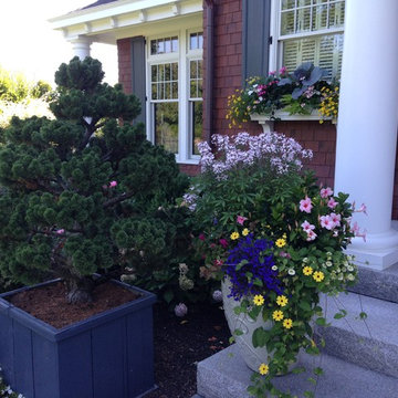 Planters & WIndow Boxes