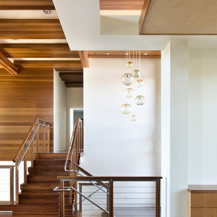 Immagine di un ingresso minimalista con pareti bianche e parquet scuro