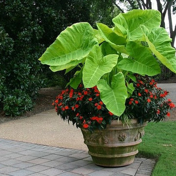 Potted Gardens