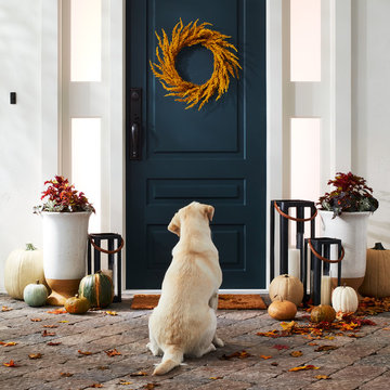 Pumpkins & Lanterns Front Door Fall Decor Collection - Threshold™