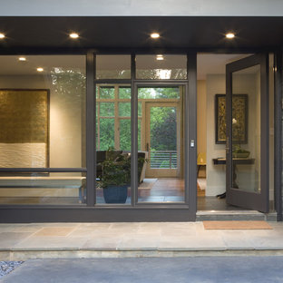 Esempio di una porta d'ingresso contemporanea di medie dimensioni con una porta singola e una porta in vetro