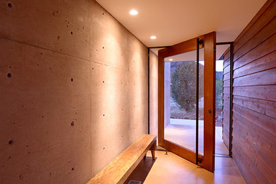 Imagen de puerta principal minimalista de tamaño medio con paredes marrones, suelo de cemento, puerta pivotante y puerta de vidrio