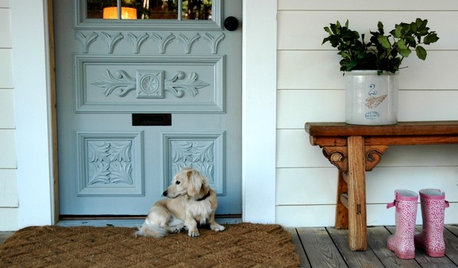 How to Free Your Home of Pet Odour