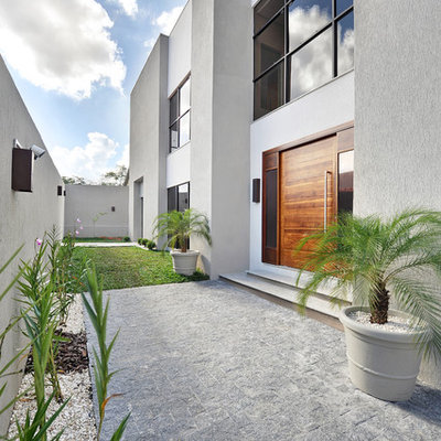 Example of a trendy entryway design in Other with a medium wood front door