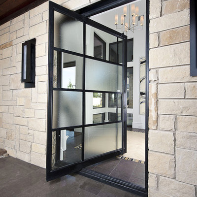 Inspiration for a contemporary pivot front door remodel in Austin with a glass front door