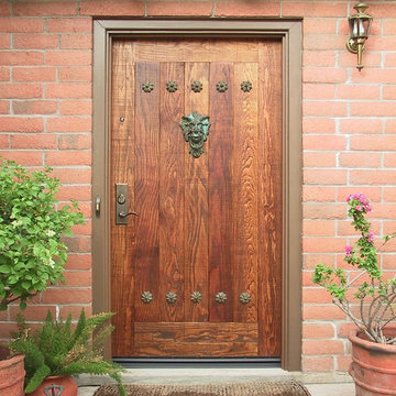 Rustic Entry Door with Lionhead Knocker
