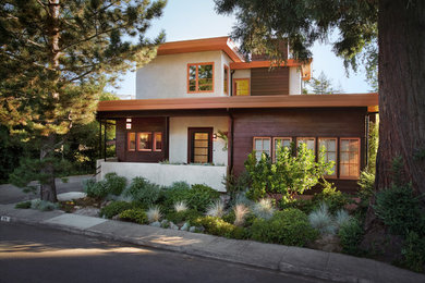 Example of a mid-century modern entryway design in San Francisco