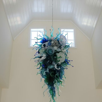 Sea Life Series