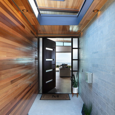 Example of a trendy pivot front door design in San Luis Obispo with a black front door