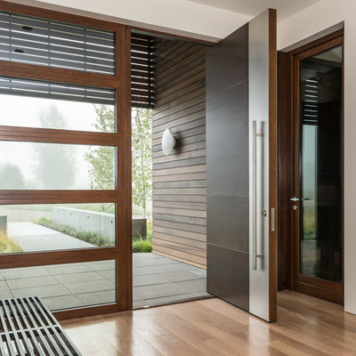 Inspiration for a contemporary medium tone wood floor pivot front door remodel in Salt Lake City with white walls and a dark wood front door