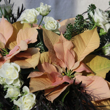 Slow Flowers December 2019 Design Inspiration: Holiday Florals w/ Poinsettias