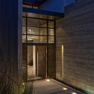 Immagine di un ingresso o corridoio minimal con una porta a pivot e una porta in legno scuro