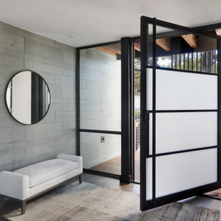 Inspiration for a mid-sized modern dark wood floor, brown floor and wood ceiling entryway remodel in Austin with gray walls and a glass front door