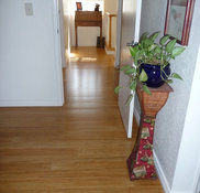 https://st.hzcdn.com/fimgs/pictures/entryways/strand-natural-bamboo-flooring-ambient-bamboo-floors-img~bc31074805a42fb4_9814-1-895c397-w182-h175-b0-p0.jpg