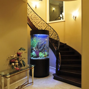 Stunning Cylinder Aquarium with Wrap Around Staircase