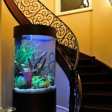 Stunning Cylinder Aquarium with Wrap Around Staircase