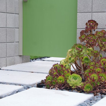Succulents in Entry