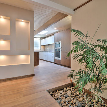 Sunnyvale Eichler Style Whole House Remodel - Entry