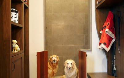 15 Doggone-Good Tips for a Pet Washing Station
