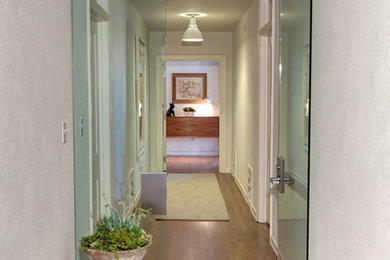 Diseño de hall contemporáneo de tamaño medio con puerta simple