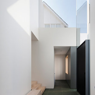 Inspiration pour une entrée minimaliste avec un mur blanc, un sol en ardoise, une porte pivot, une porte noire, un sol vert et un couloir.