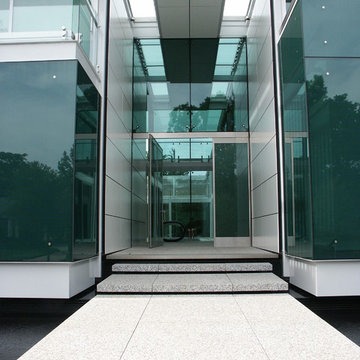 Translucens Entrance Pivot Door