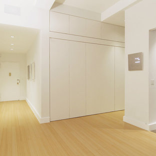 Kleiner Moderner Eingang mit Foyer, weißer Wandfarbe, Bambusparkett, Einzeltür und weißer Tür in New York
