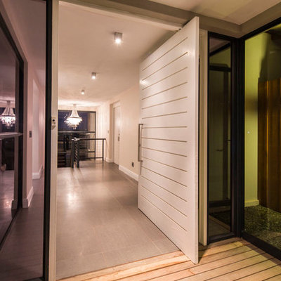 Pivot front door - contemporary pivot front door idea in Other with a white front door