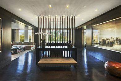Example of a minimalist entryway design in New York