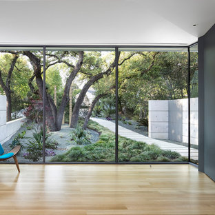 Ispirazione per un grande ingresso minimalista con pareti bianche, parquet chiaro, una porta a pivot e una porta nera