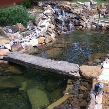 Water Features & Koi Ponds