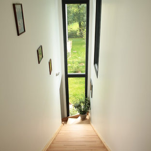 Cette photo montre un escalier tendance.
