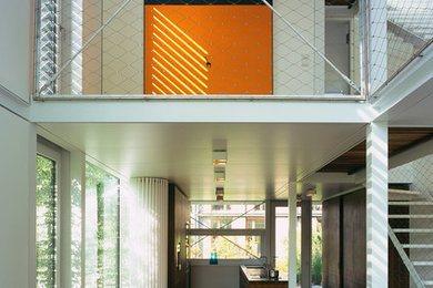 Offenes, Großes Modernes Esszimmer mit dunklem Holzboden in München