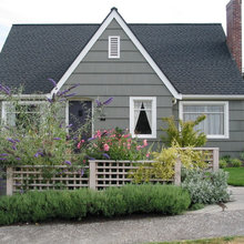 Purple house roof ideas