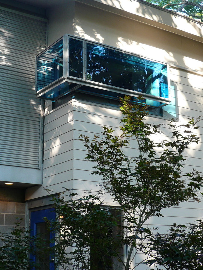 900 square foot House and Garden