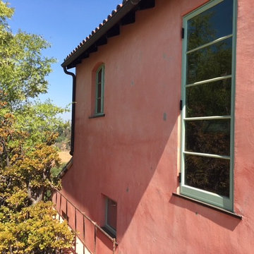 A Flamingo in Eagle Rock