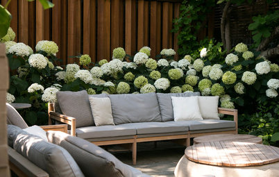London Courtyard Blooms With Year-Round Color
