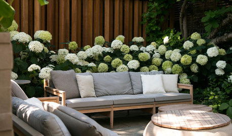 Garden Tour: A London Courtyard Blooms With Year-round Colour